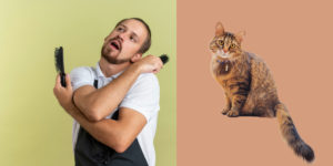 Brushing Your Cat: Tips from Jackson Galaxy