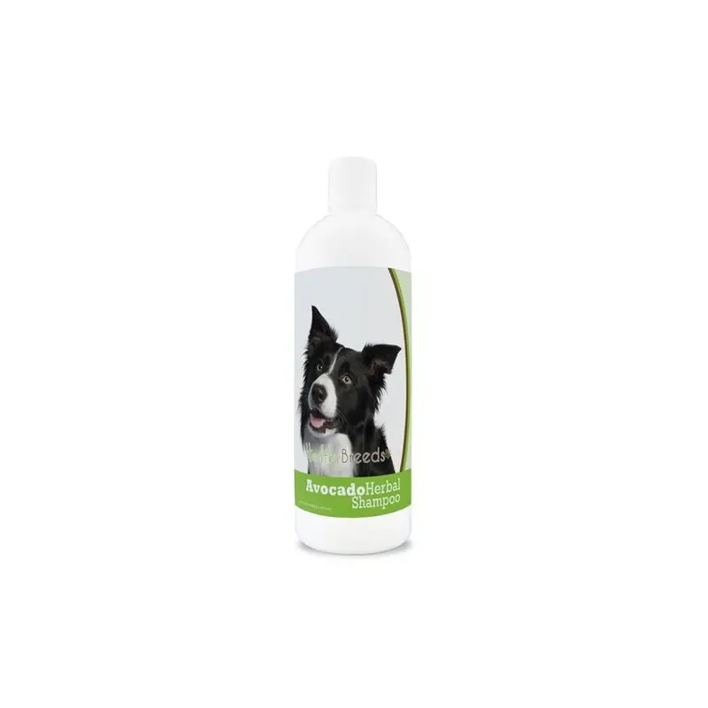 Healthy Breeds 840235156901 Border Collie Avocado Herbal Dog Shampoo