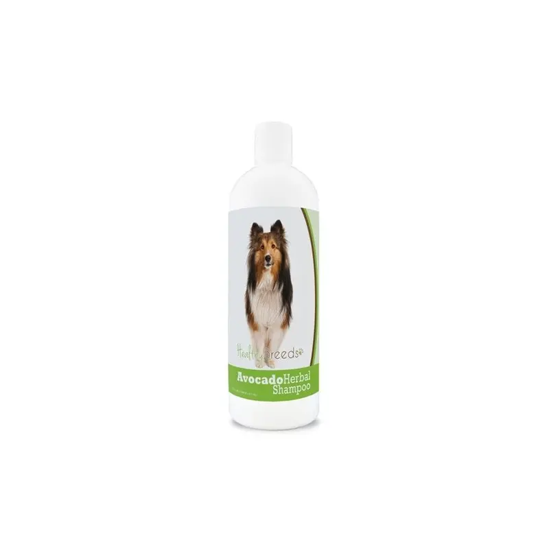 Healthy Breeds 840235157274 Shetland Sheepdog Avocado Herbal Dog Shampoo