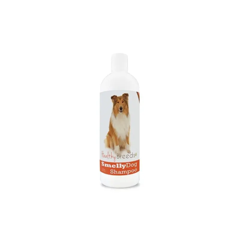 Healthy Breeds 840235160489 Collie Smelly Dog Baking Soda Shampoo