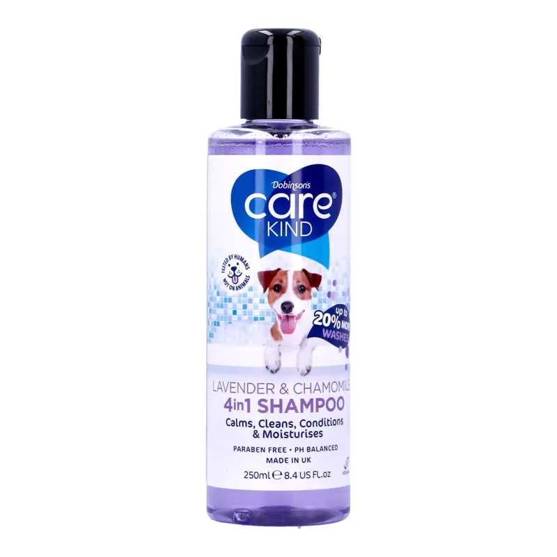 Carekind Lavender Cham Shampoo 250Ml