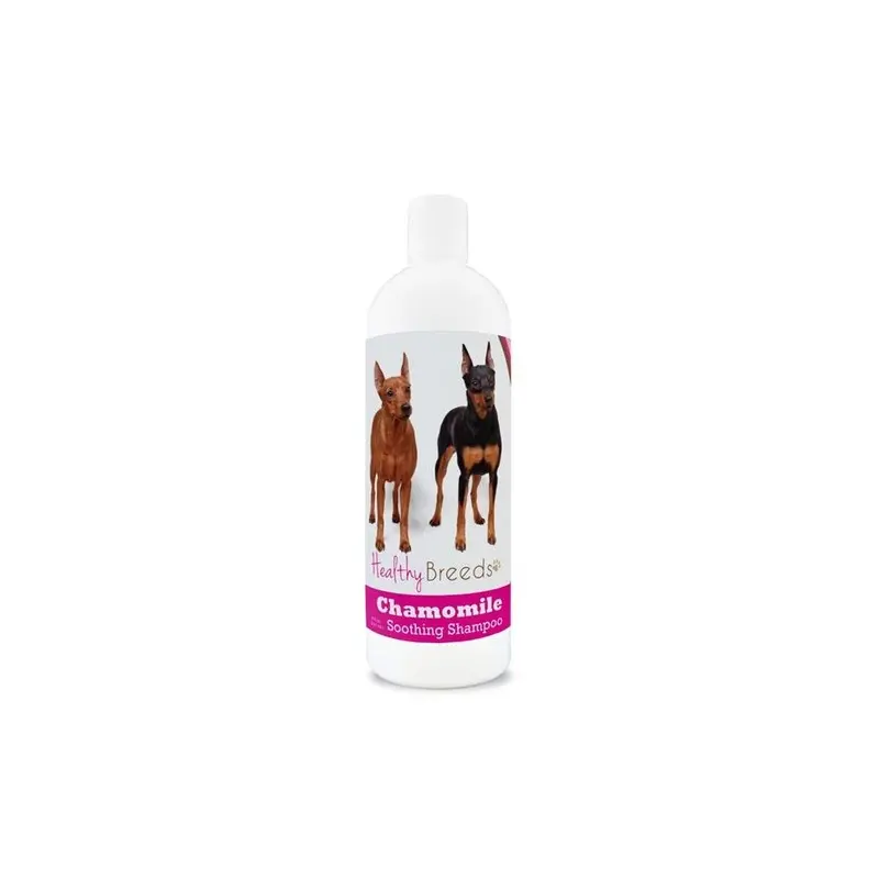 Healthy Breeds 840235161516 Miniature Pinscher Chamomile Soothing Dog Shampoo