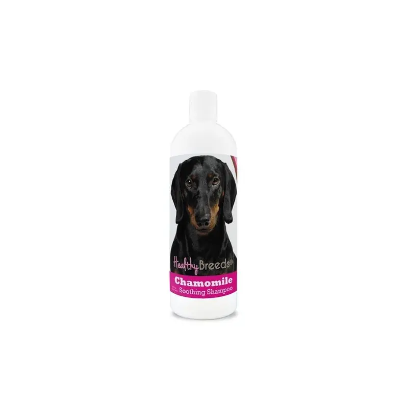 Healthy Breeds 192959000535 8 Oz Dachshund Chamomile Soothing Dog Shampoo 8Oz