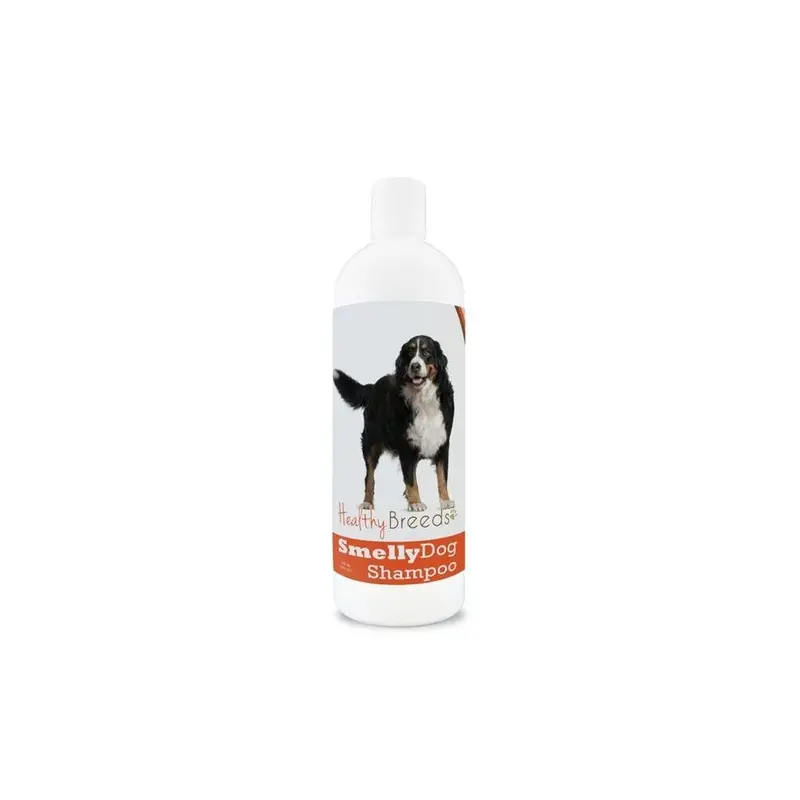 Healthy Breeds 840235160687 Bernese Mountain Dog Smelly Dog Baking Soda Shampoo