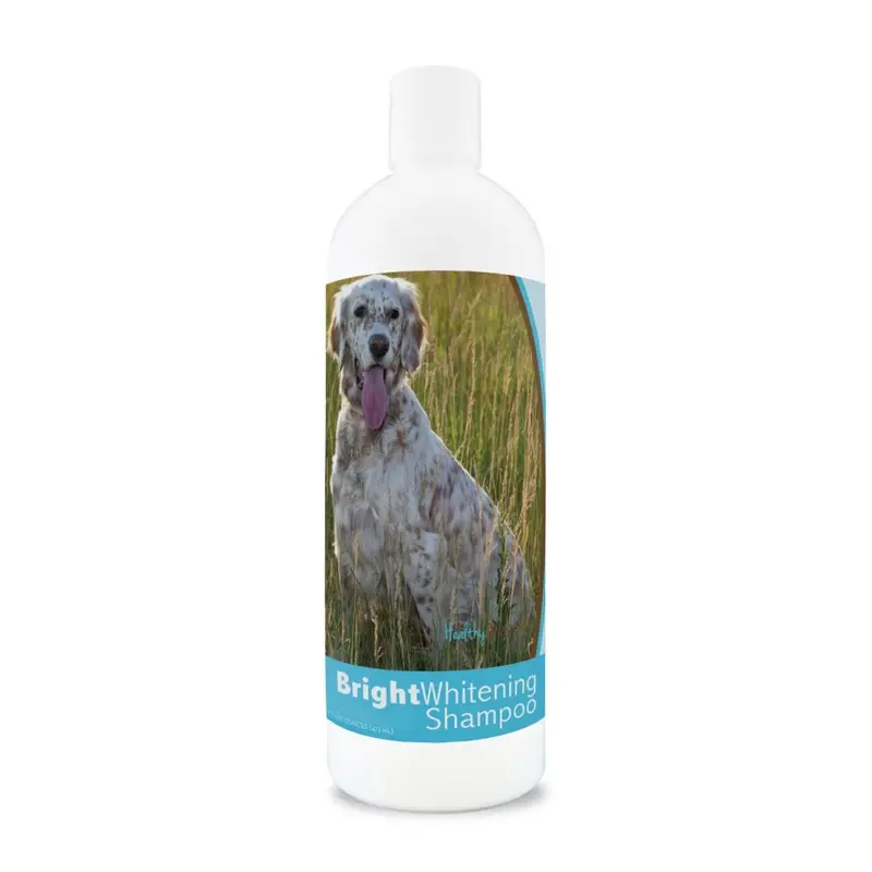 Terveet Rodut Healthy Breeds English Setter Bright Whitening Shampoo 12 Oz 12Oz