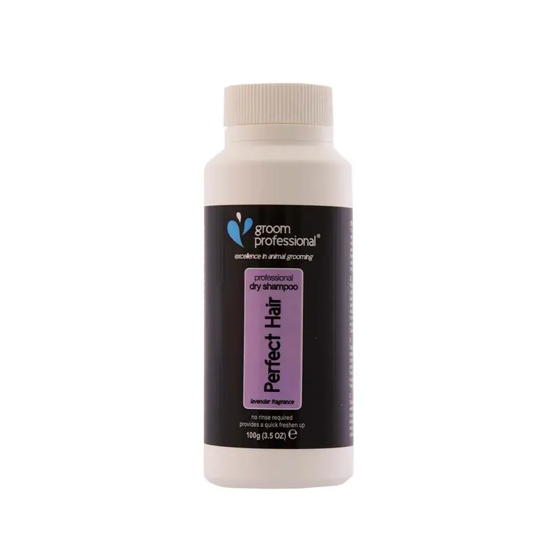 Groom Professional Perfect Hair Dry Shampoo