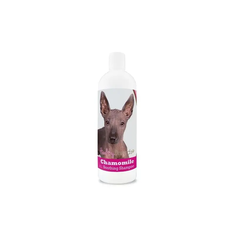 Healthy Breeds 192959000351 8 Oz Xoloitzcuintli Chamomile Soothing Dog Shampoo 8Oz