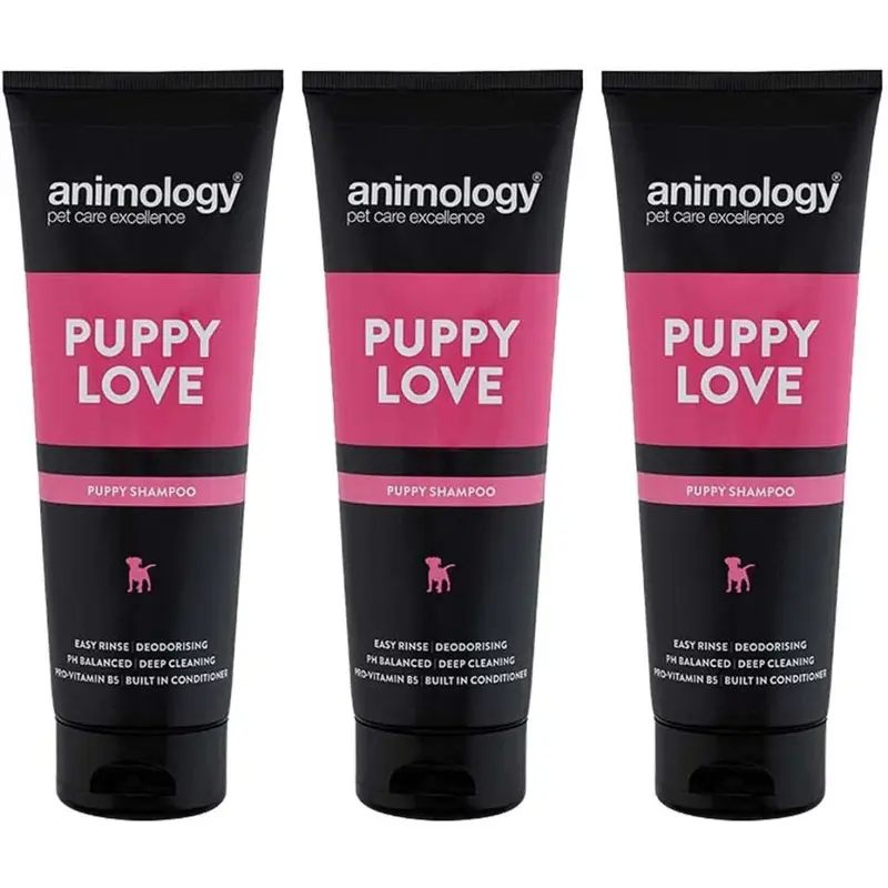 Animology Puppy Love Puppy Shampoo, (Pack Of 3) 250Ml