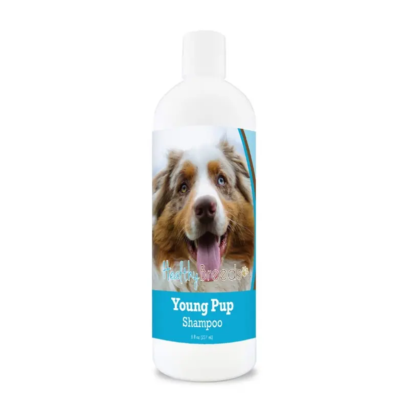 Healthy Breeds Australian Shepherd Young Pup Shampoo 8 Oz 8Oz