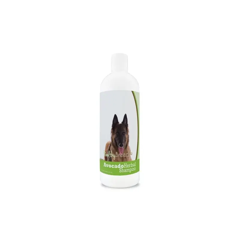Healthy Breeds 840235157489 Belgian Tervuren Avocado Herbal Dog Shampoo