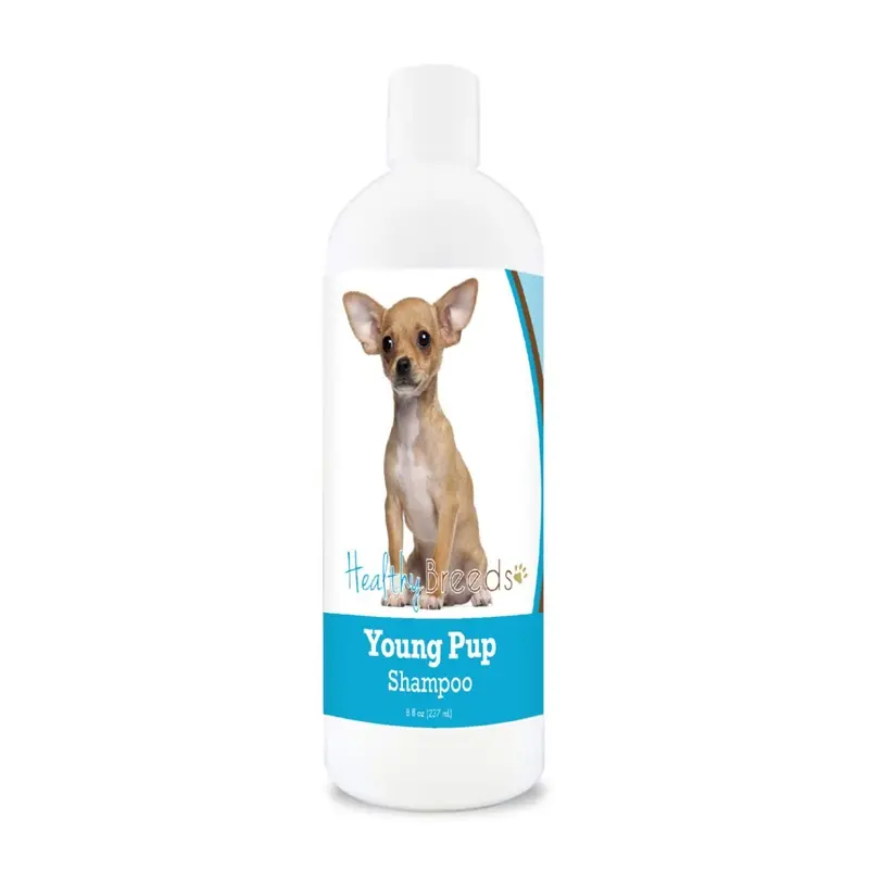 Healthy Breeds Chihuahua Young Pup Shampoo 8 Oz 8Oz