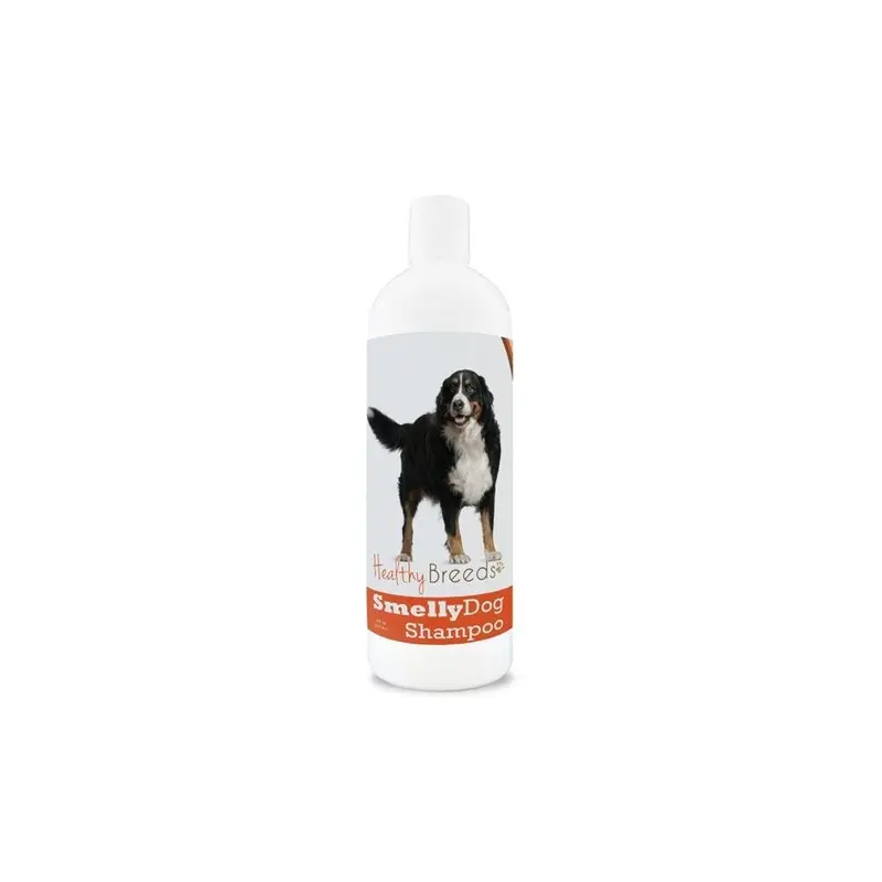 Healthy Breeds Bernese Mountain Dog Smelly Dog Baking Soda Shampoo
