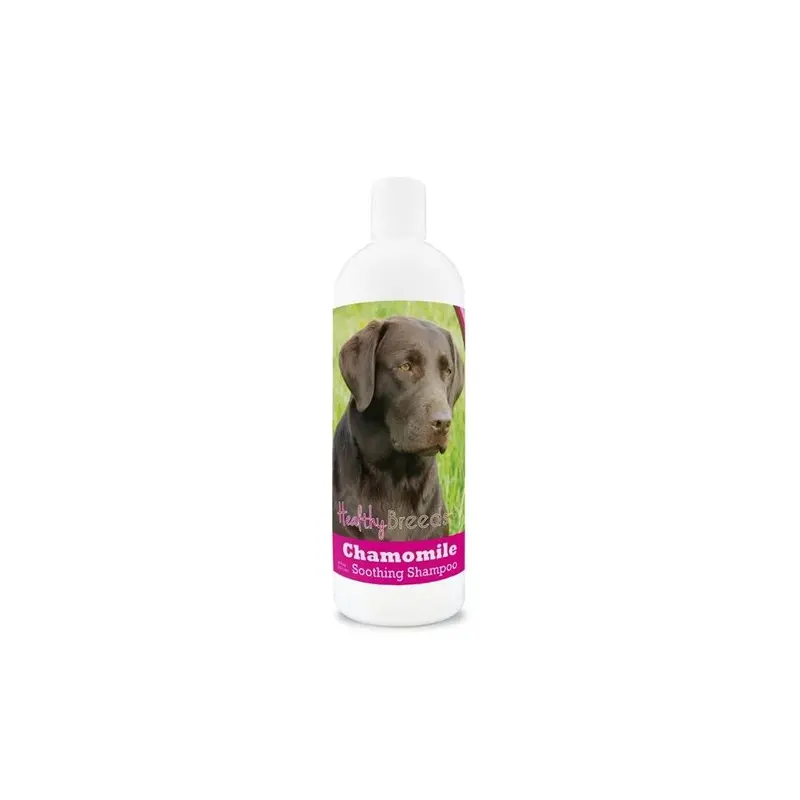 Healthy Breeds 840235161585 Labrador Retriever Chamomile Soothing Dog Shampoo