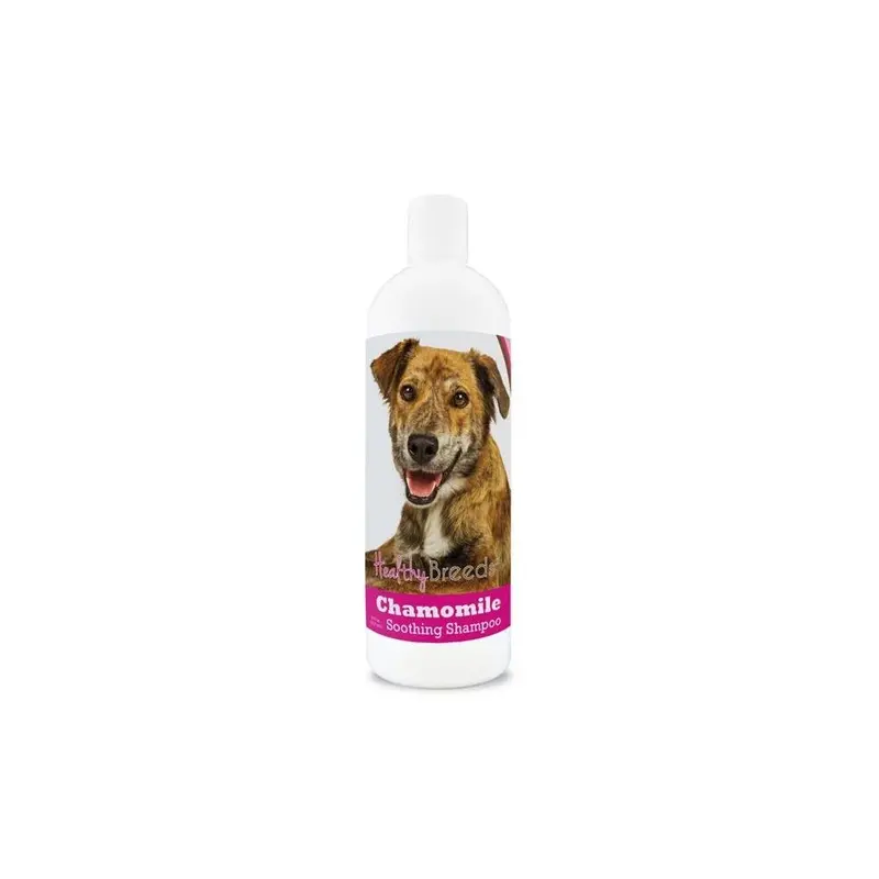 Healthy Breeds 192959000498 8 Oz Plott Chamomile Soothing Dog Shampoo 8Oz