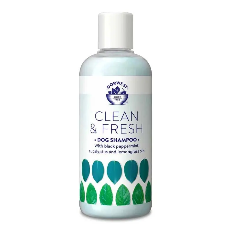 Dorwest Black Clean & Fresh Shampoo - 250Ml