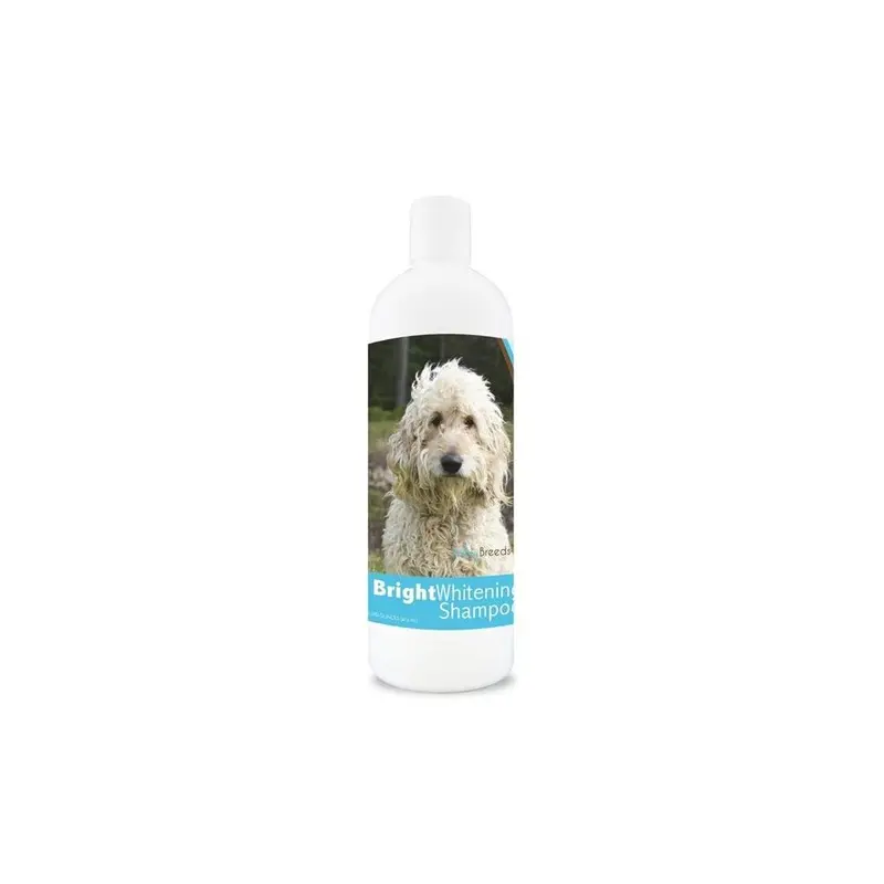 Healthy Breeds 840235107323 12 Oz Goldendoodle Bright Whitening Shampoo 12Oz