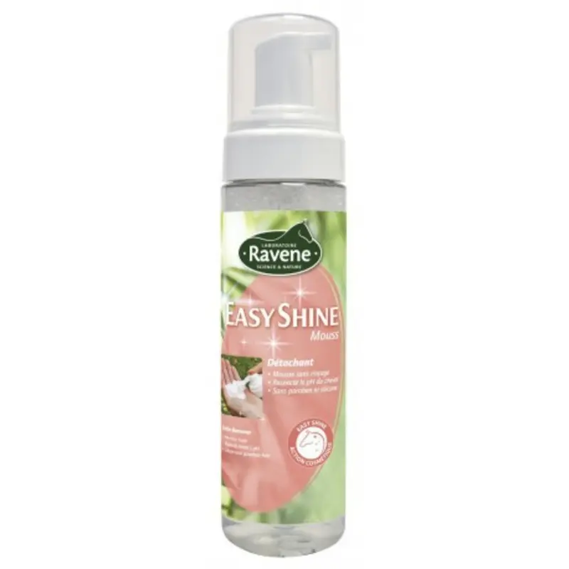 Ravene Blanc Stain Remover Foam Easy Shine