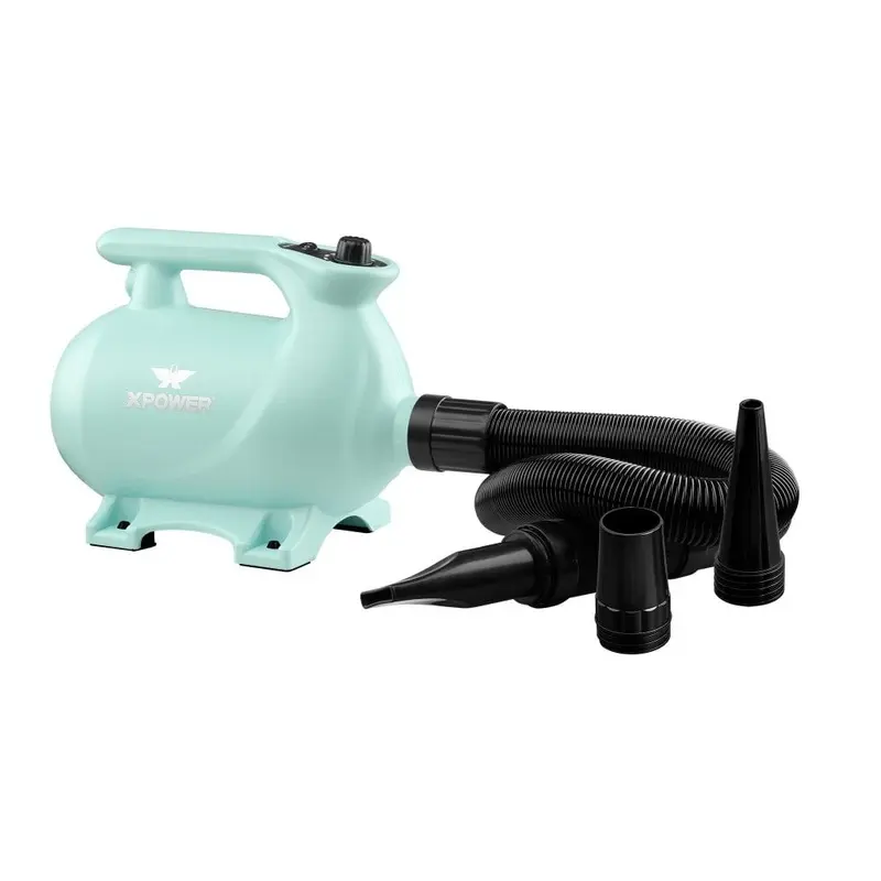 XPower B-123 High Velocity Dryer with Heat - Pastel Green Colour: Past