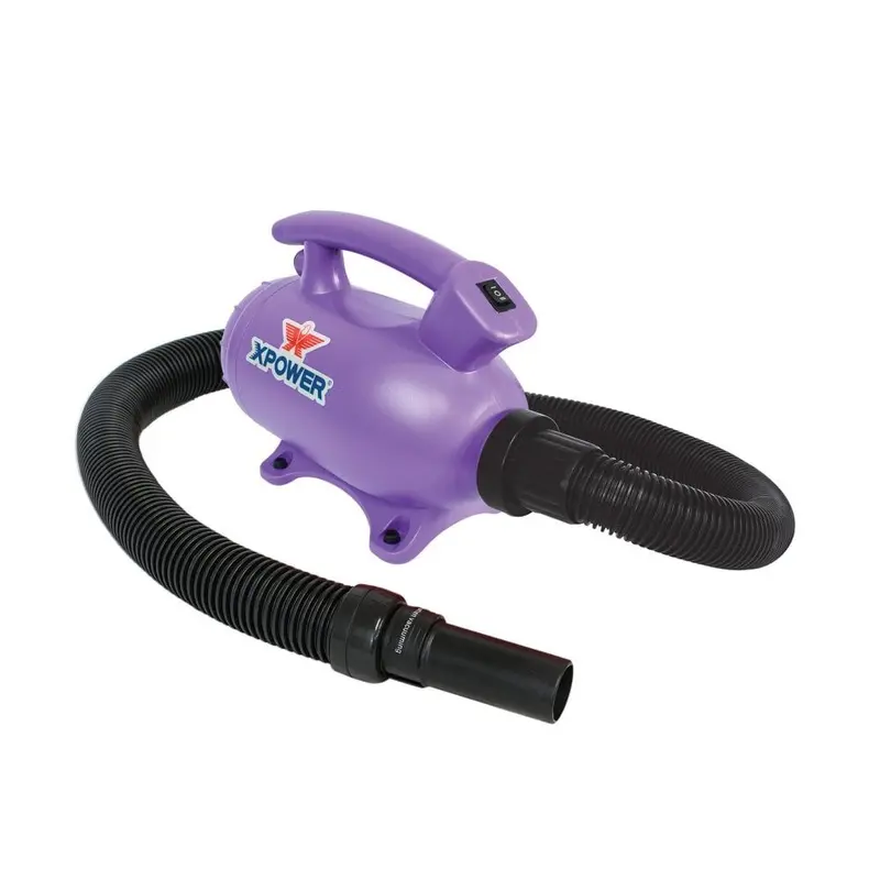 XPower B-55 Compact Dryer - Purple Colour: Purple
