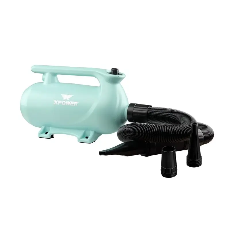 XPower B-163 High Velocity Dryer - Pastel Green Colour: Pastel Green