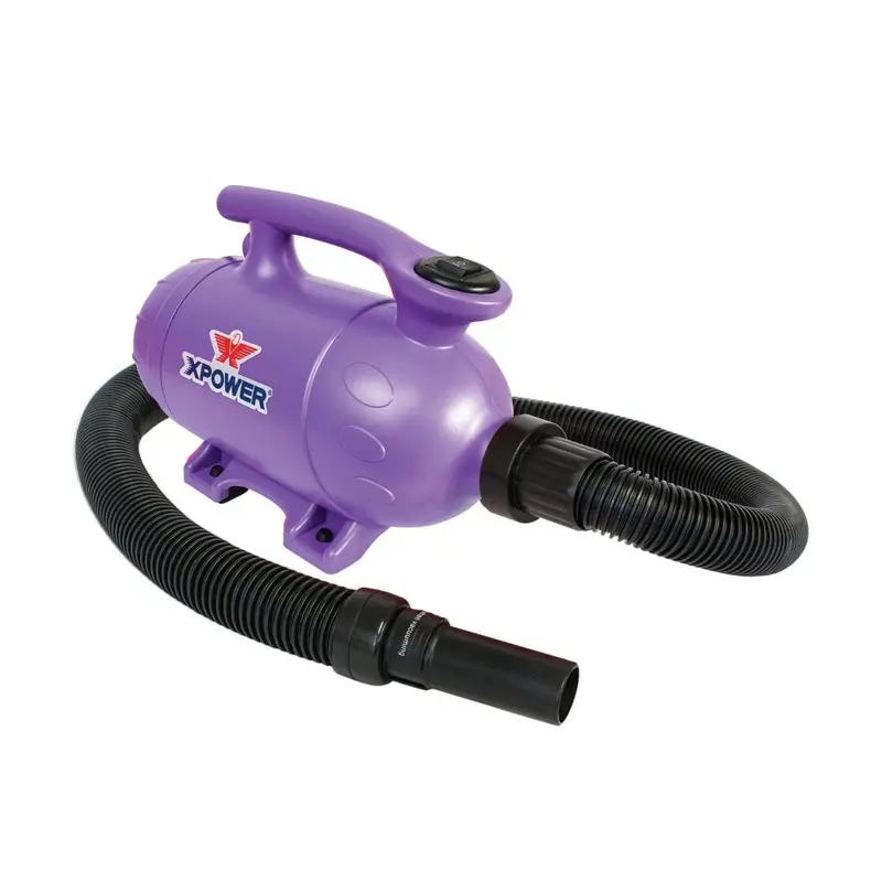 XPower B-2 Midi Single Dryer Purple Colour: Purple