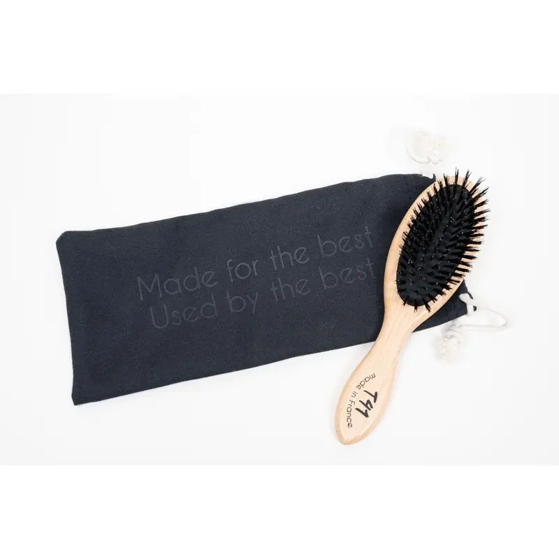 The Sentinel T41 Finishing Brush