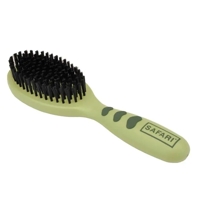 Kust Safari Bristle Brush Small