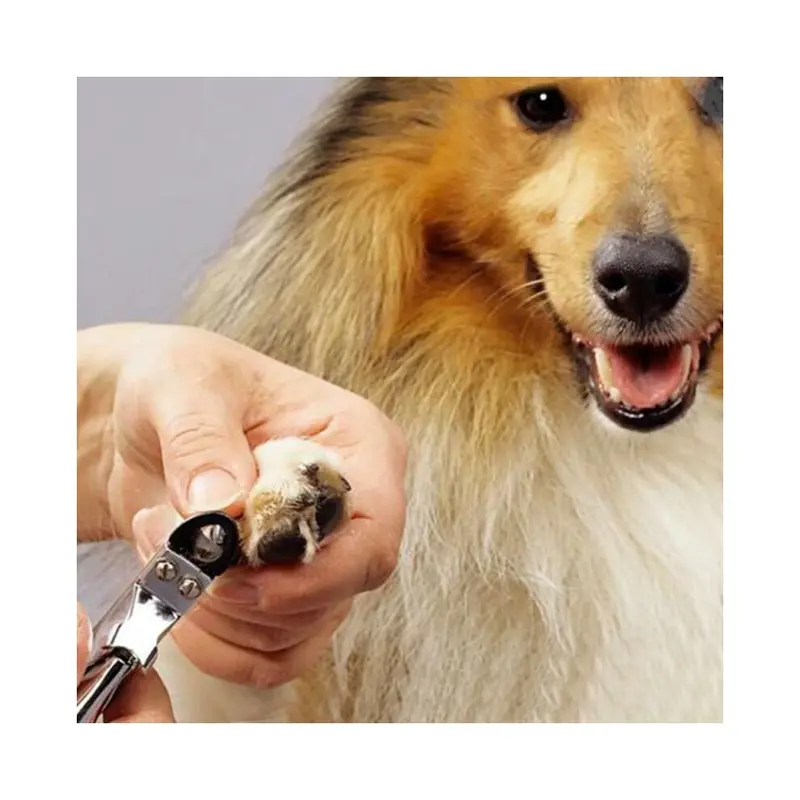 Pet Dog Cat Toe Claw Nail Clipper Scissors Trimmer Shear Cutter Grooming Tool