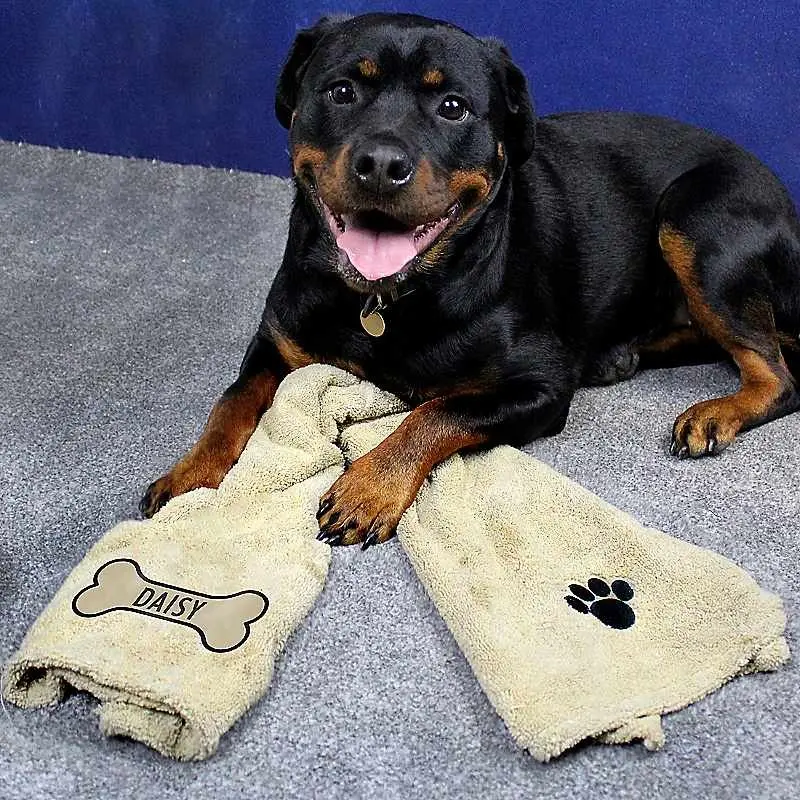 Freemans Brown Personalised Bone Microfibre Pet Towel