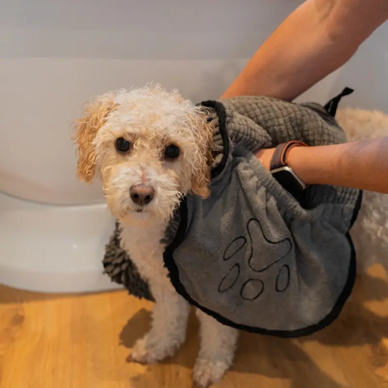 Allpetsolutions Grey Noodle Drying Towel