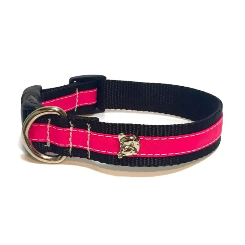 Zoomies City Hot Pink Collar