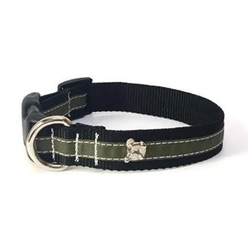 Zoomies City Olive Collar