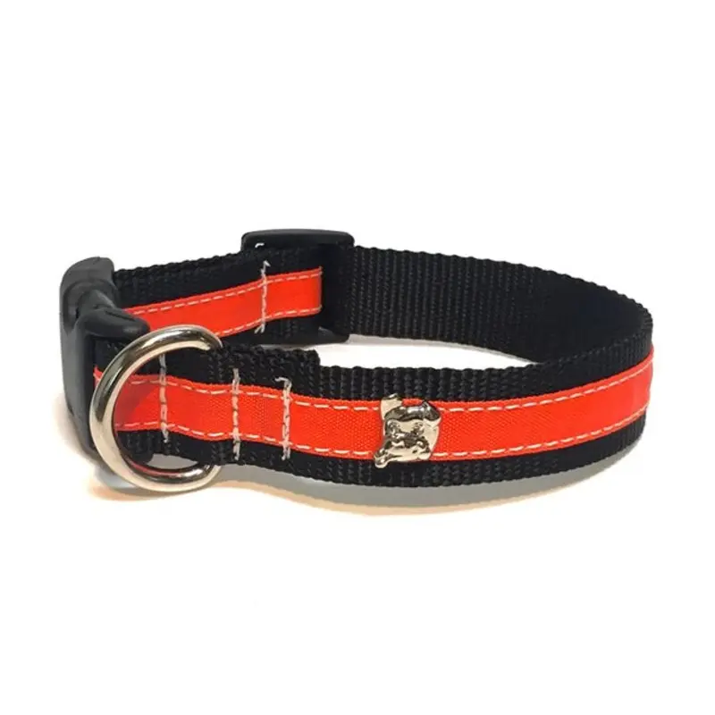 Zoomies City Orange Collar