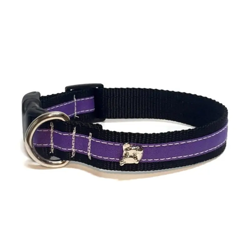 Zoomies City Purple Collar