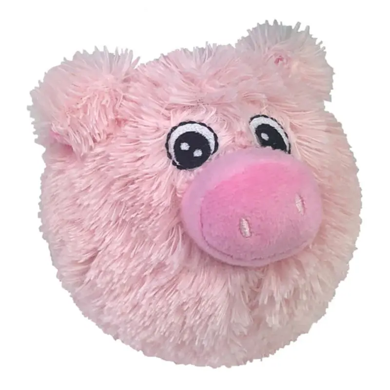 Squeaky Pig Ball