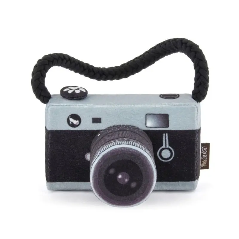LENS LICKER CAMERA TOY