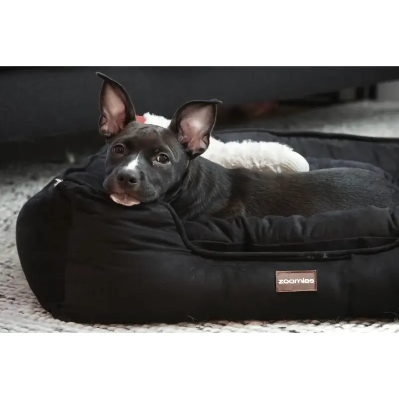 Zoomies Reversible Bed - Black