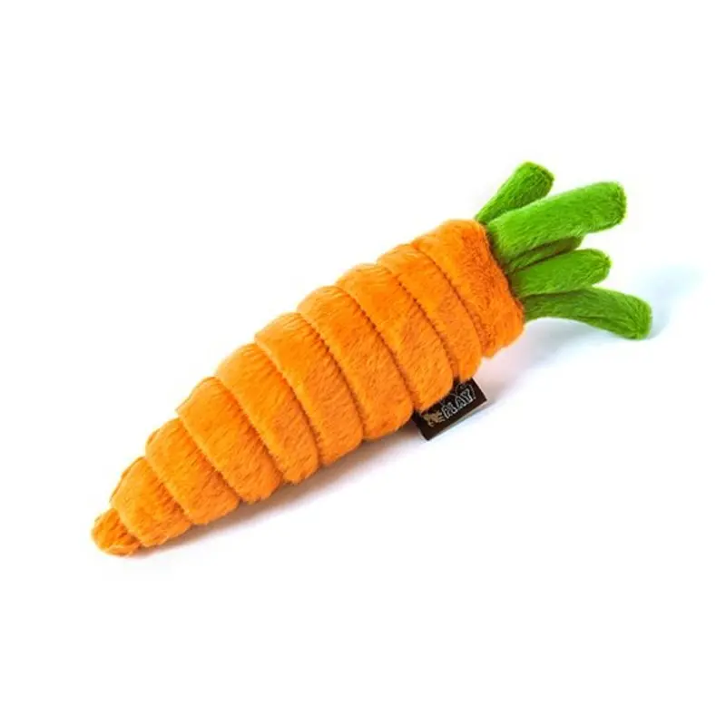 GARDEN FRESH CARROT TOY