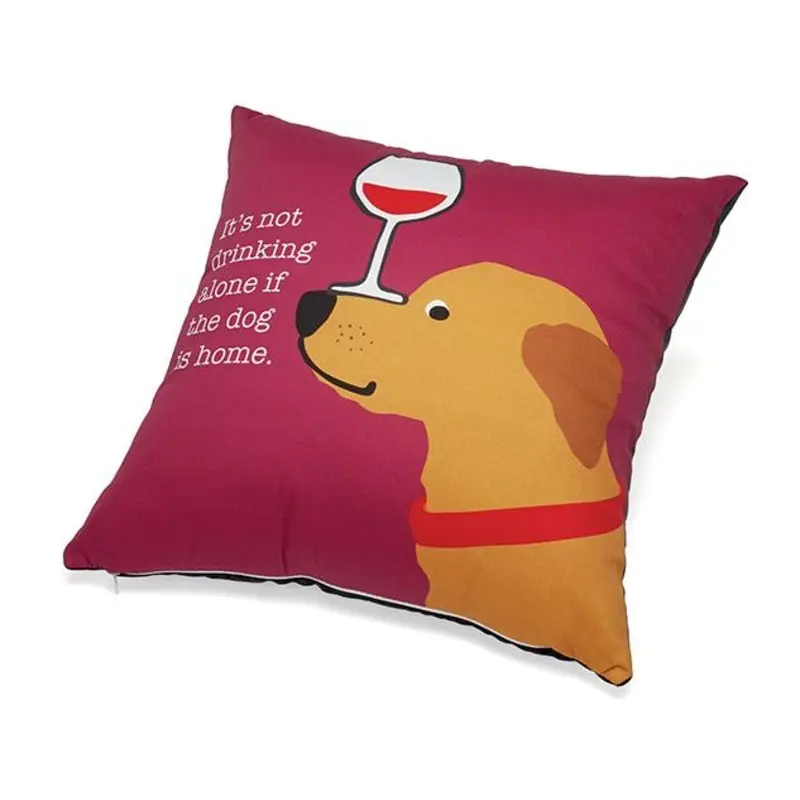 Pillow: It's Not Drinking if the Dog is Home