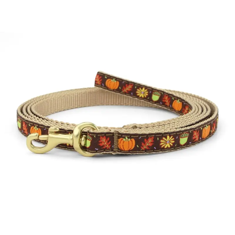 Harvest Time Small Breed Dog Lead