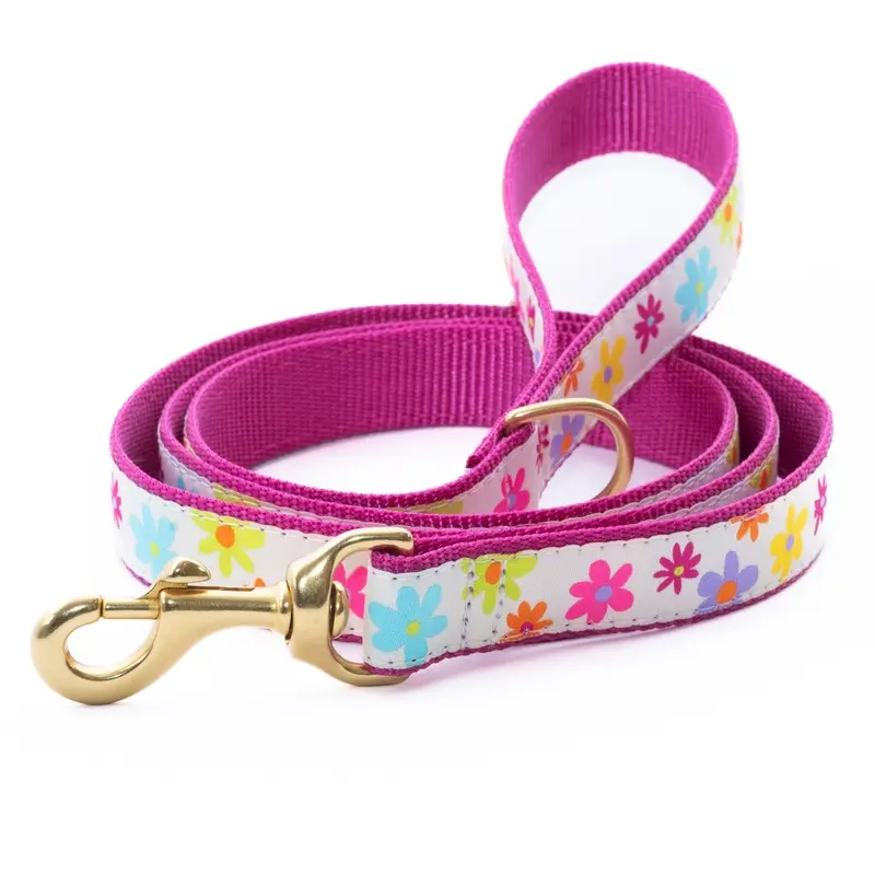 Spring Fever Dog Lead