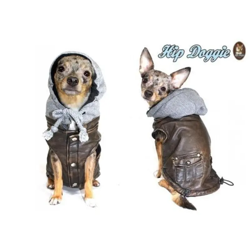 Vintage Bomber Dog Jacket