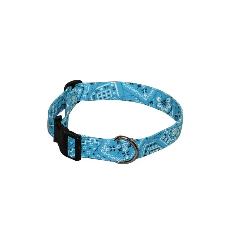Blue Roundup Breakaway Cat Collar