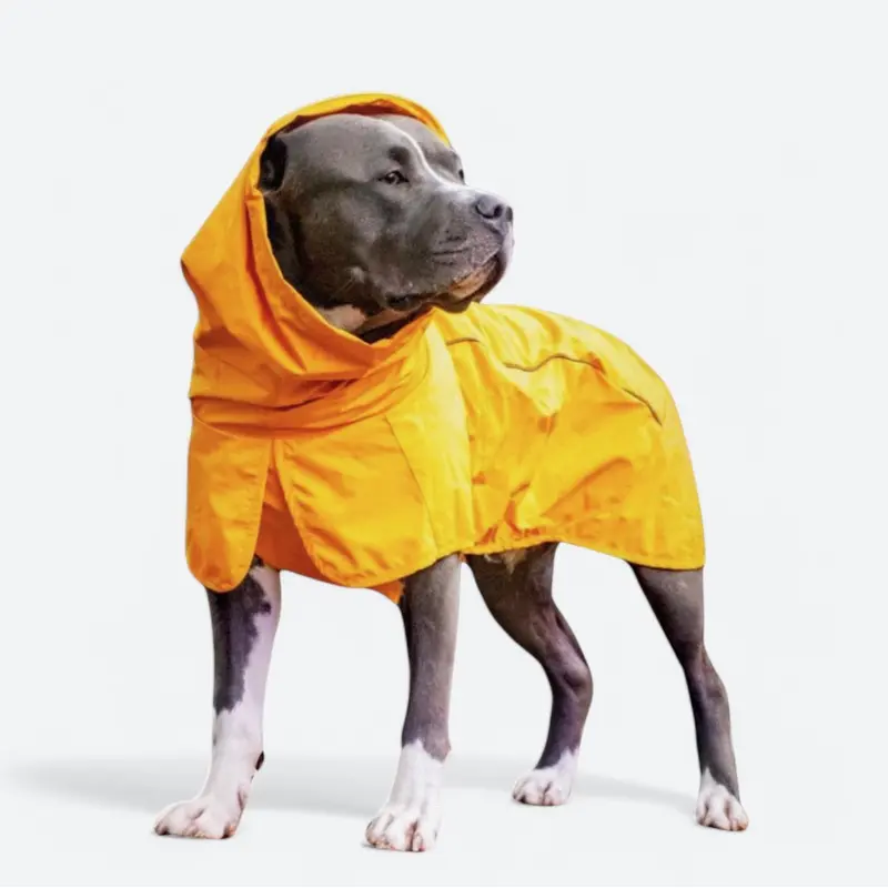 Breatheshield Dog Raincoat - Mustard Yellow