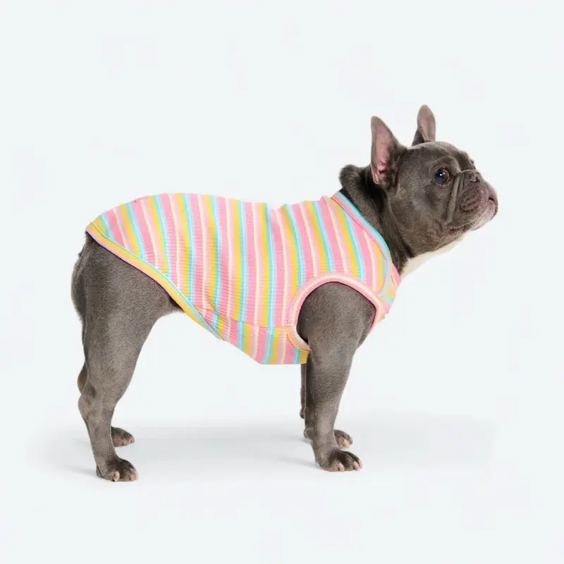 Stripe Shirt - Pink Yellow