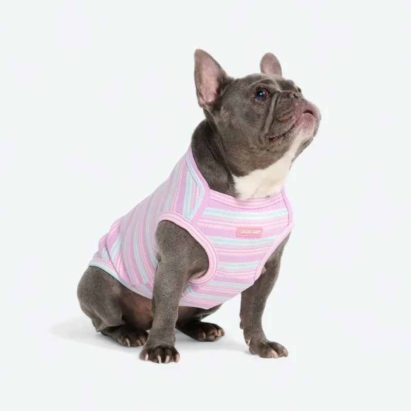 Stripe Shirt - Purple Blue