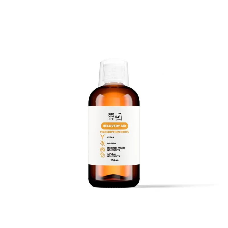 Dog Recovery Supplement Drops