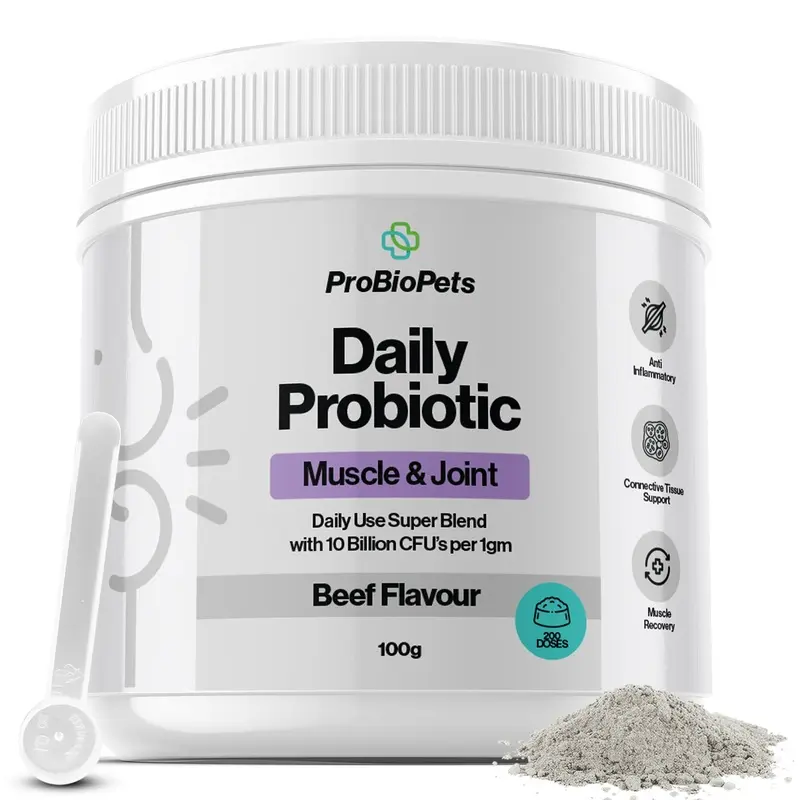 Muscle & Joint Probiotic For Pets