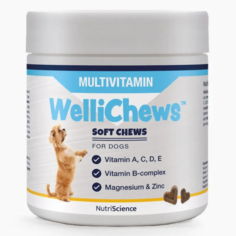 WelliChews Multivitamin Soft Chews for Dogs 60