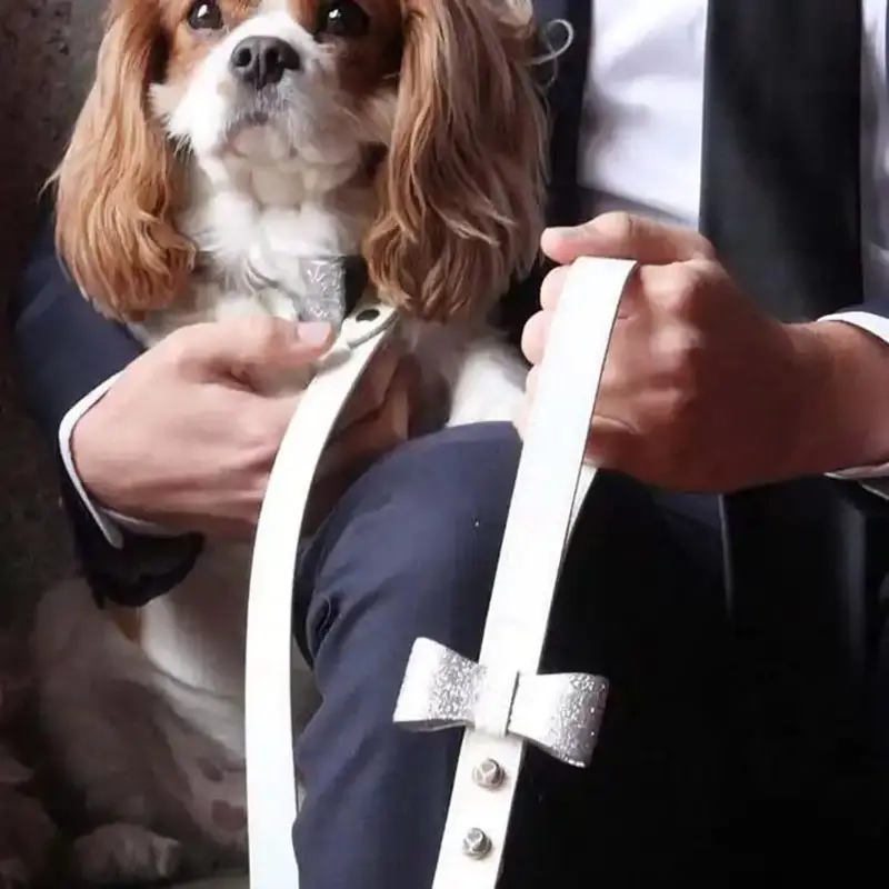Ben Leather Dog Leash